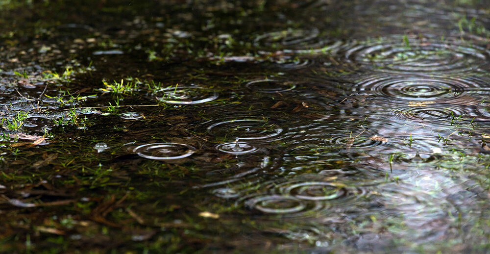anton-atanasov-Qj77iDjVsX8-unsplash